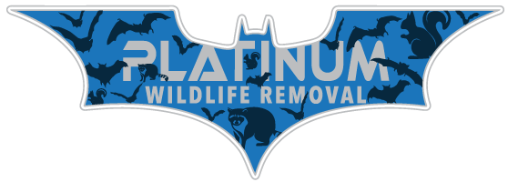 Niles Wildlife Removal